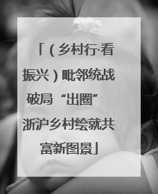 （乡村行·看振兴）毗邻统战破局“出圈” 浙沪乡村绘就共富新图景